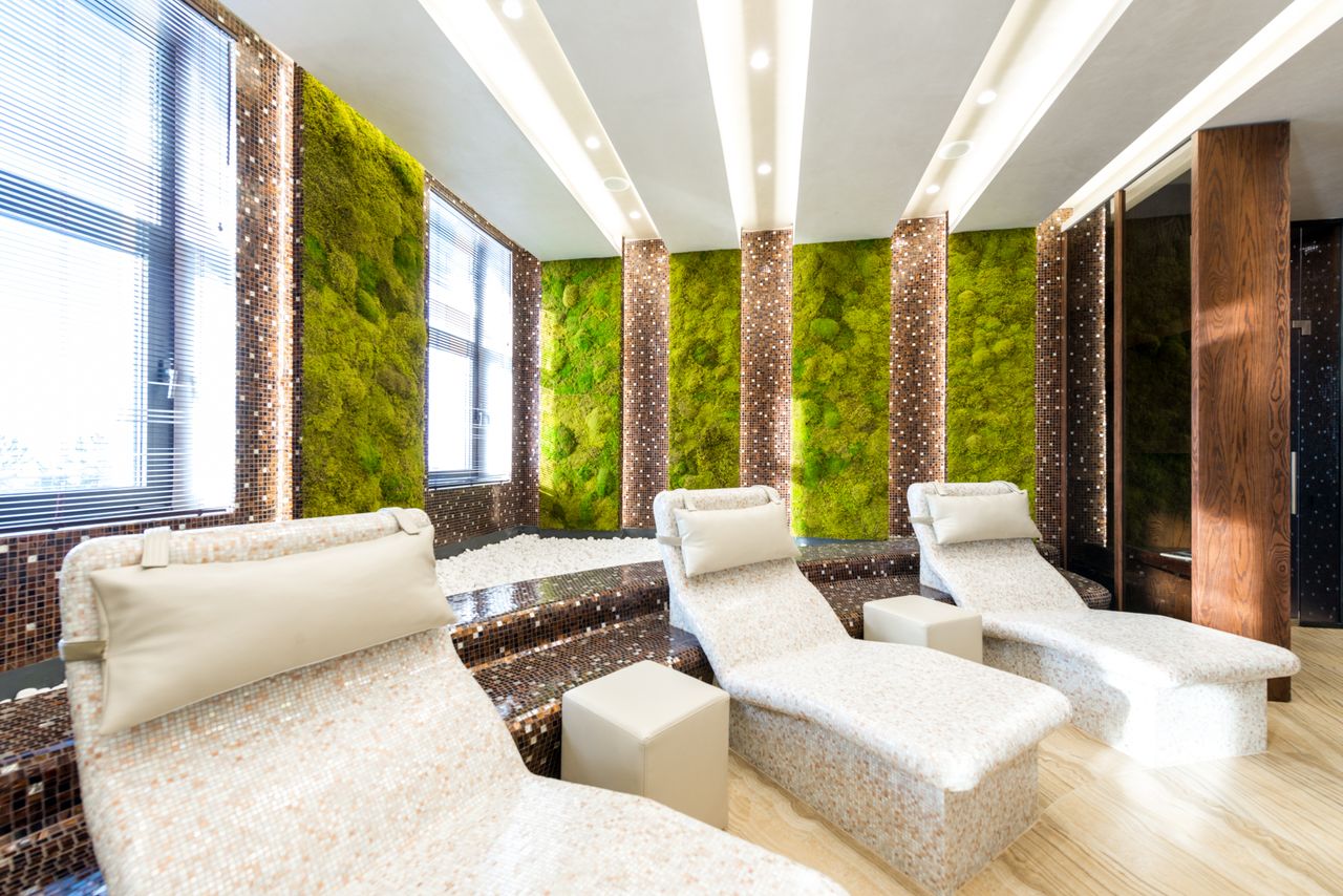 Tiled heated chaise lounges placed on wooden floor in modern spacious spa center decorated with green plants on walls and bright lamps